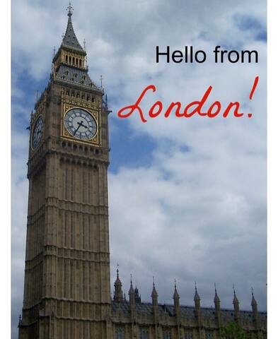 Paddington gallery image 4