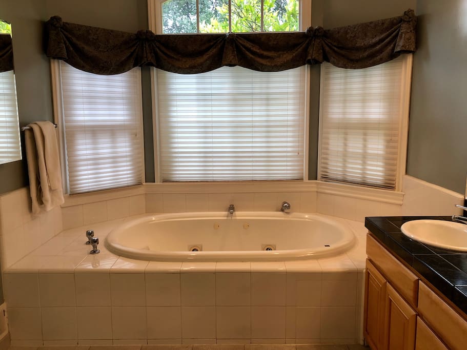 Jacuzzi in master bathroom