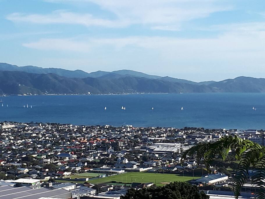 On a sunny Wellington day