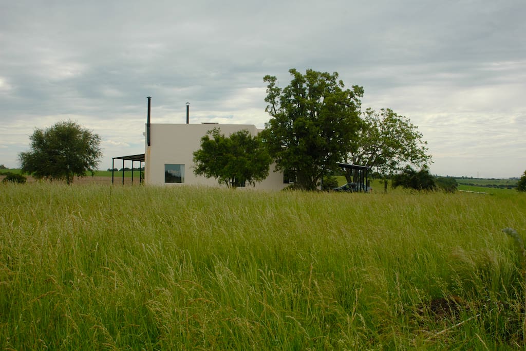 Lateral house view as seen from eucalyptus trees