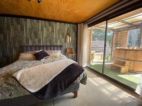 Beautiful modern cabin with tinaja