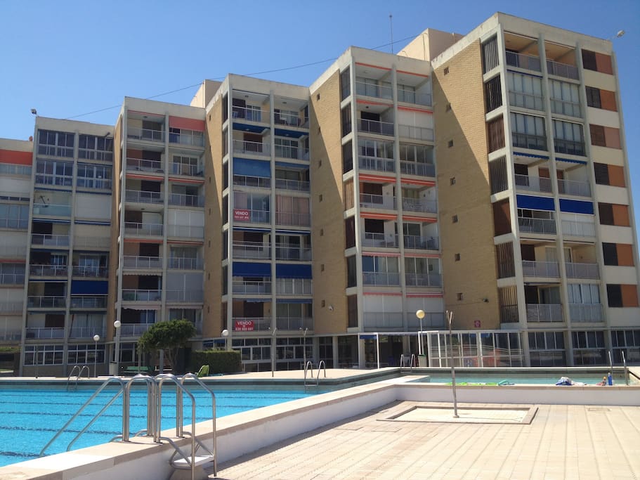 Pools and bar area