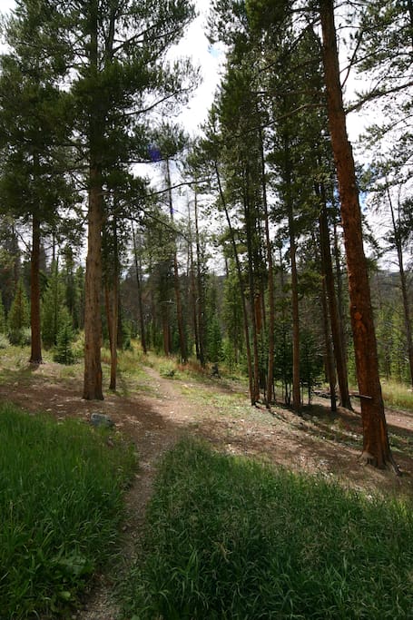 Trail to Peak 9 skiing / biking, Burro Trail snow shoe / hiking, or to Stream