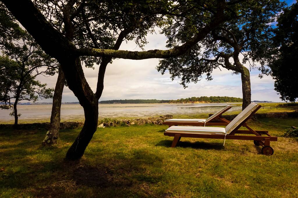 Overlooking the water.