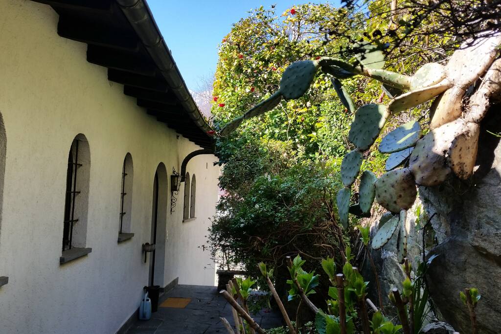 Back of the house
