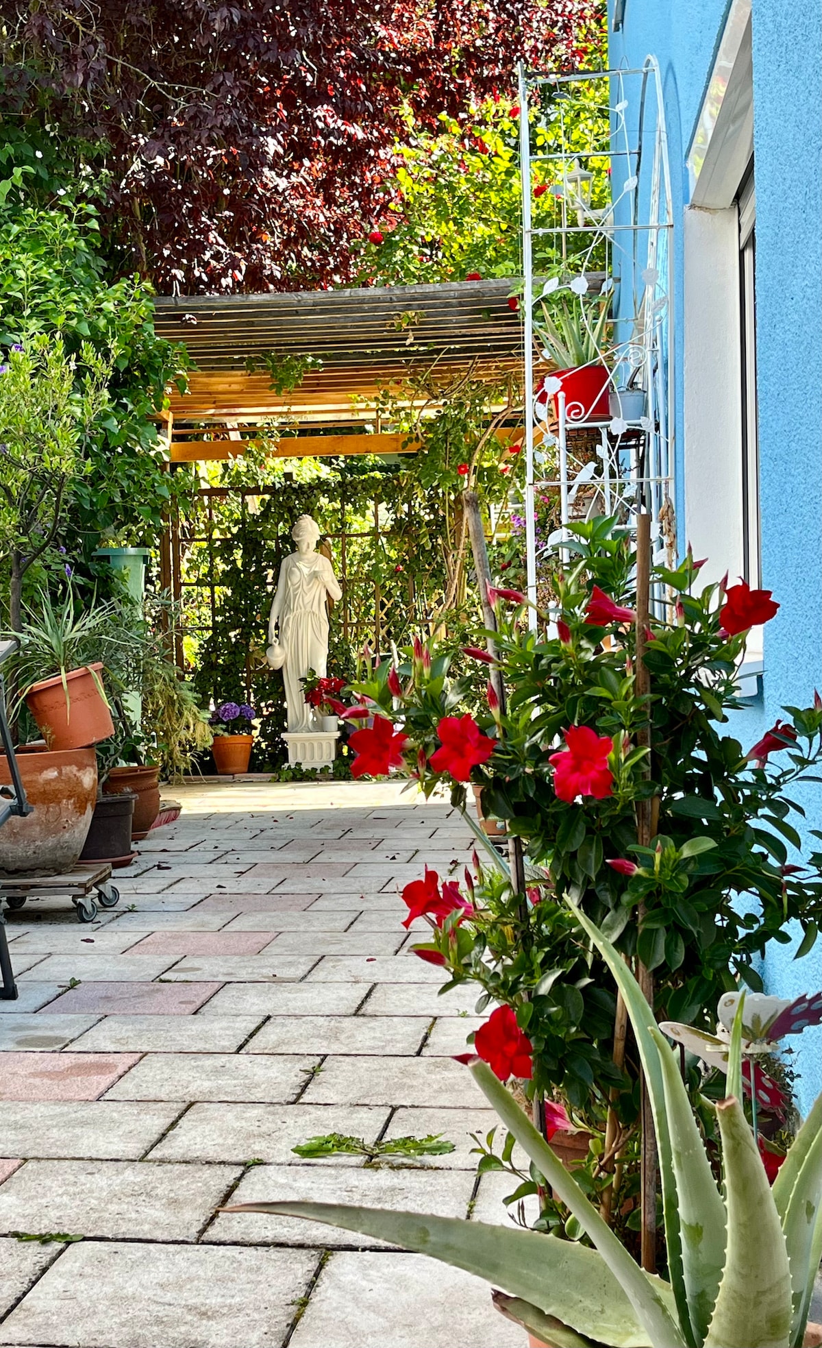 A serene garden space features colorful red flowers in planters along a stone pathway. Lush greenery provides a natural backdrop, leading to a decorative statue nestled within a trellis, creating a peaceful atmosphere enhanced by dappled sunlight.