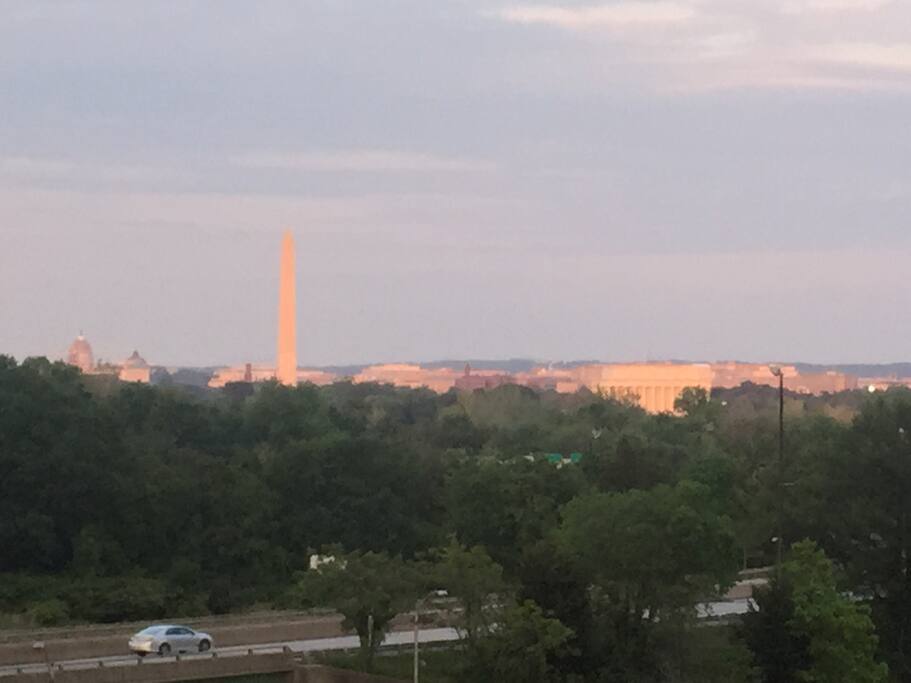 View from Window