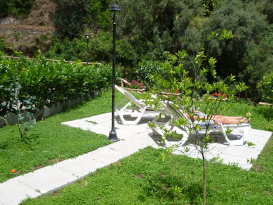 Il giardino