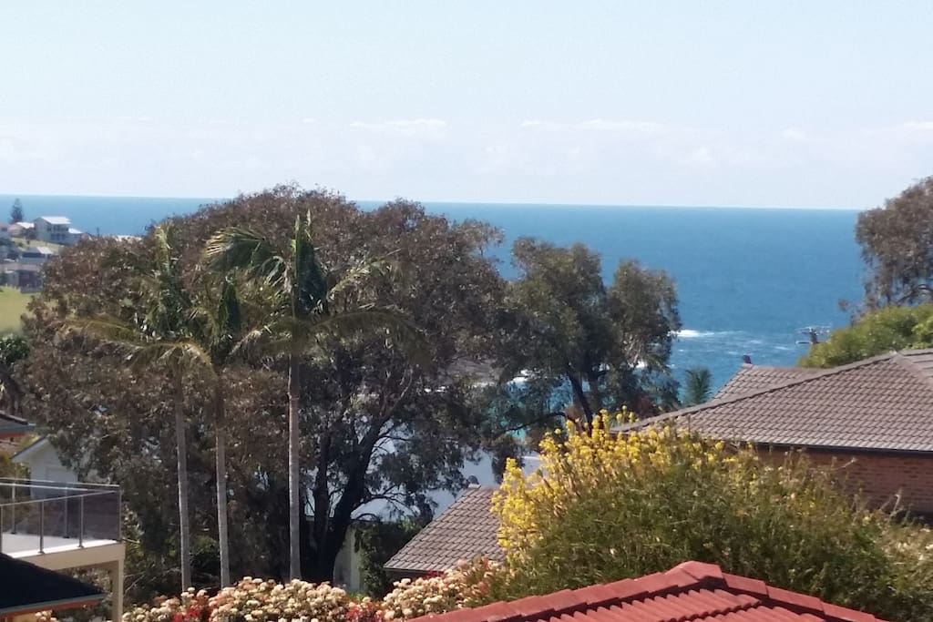 Top 10 Vacation Rentals In And Around Jamberoo, Australia Updated 2024 Trip101