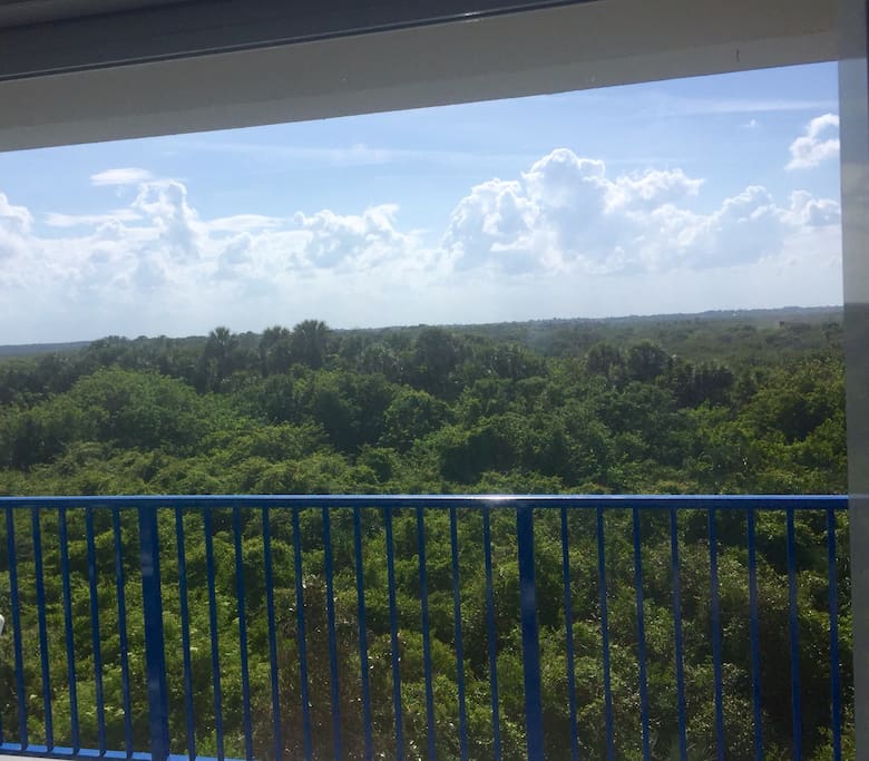 Beautiful and peaceful view of the preserve area