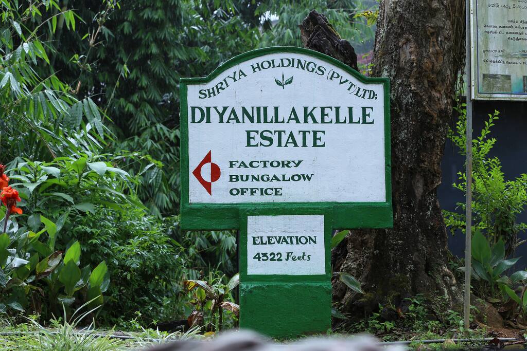 Entrance to the estate