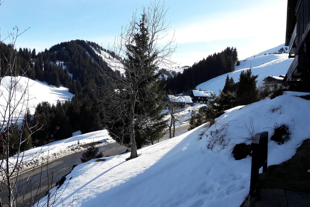 Skis aux pieds