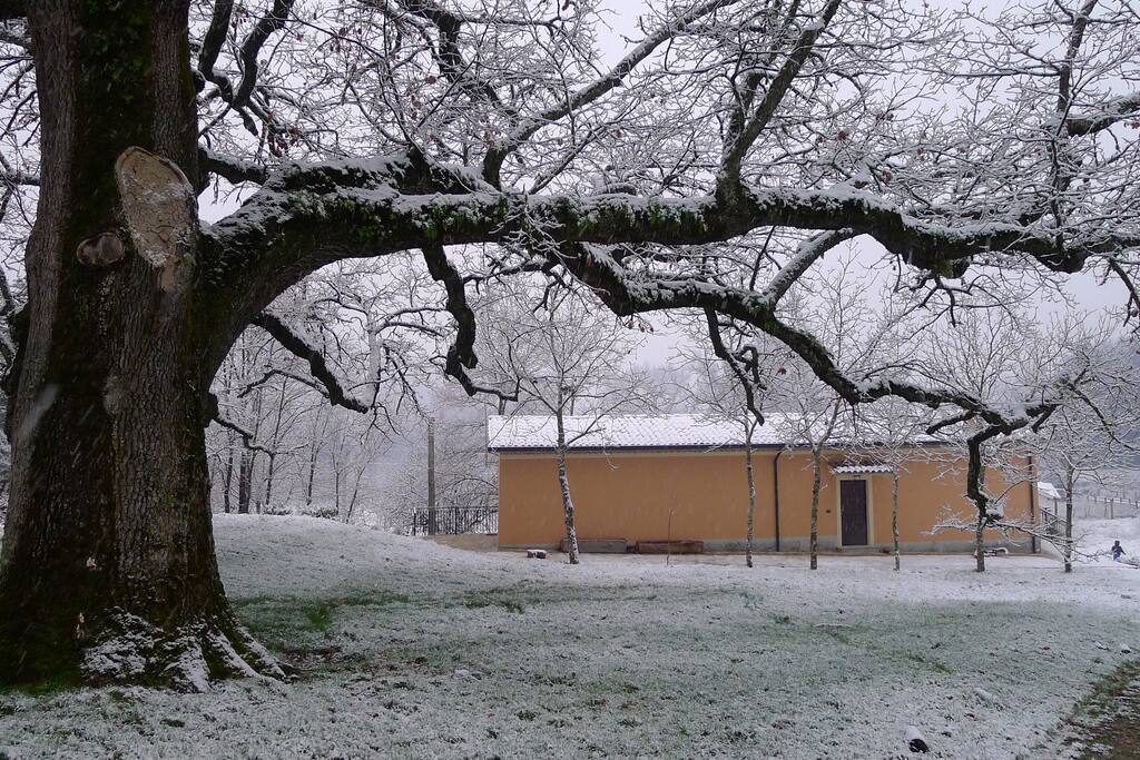 La neve alla Quercia di Licari