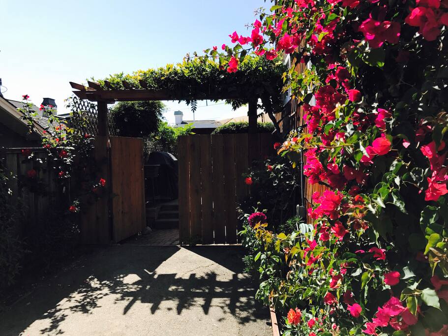 Driveway & your gated entrance