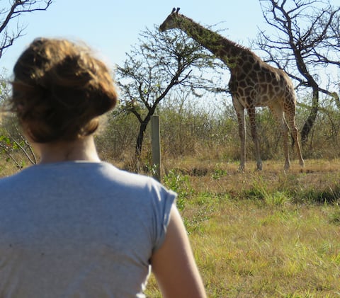 Dombeya Game Reserve's Stunning 2 Bedroom Lodge