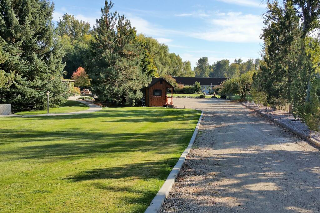 Driveway leading to guest house.