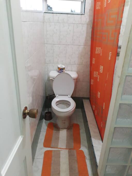 shower and toilet