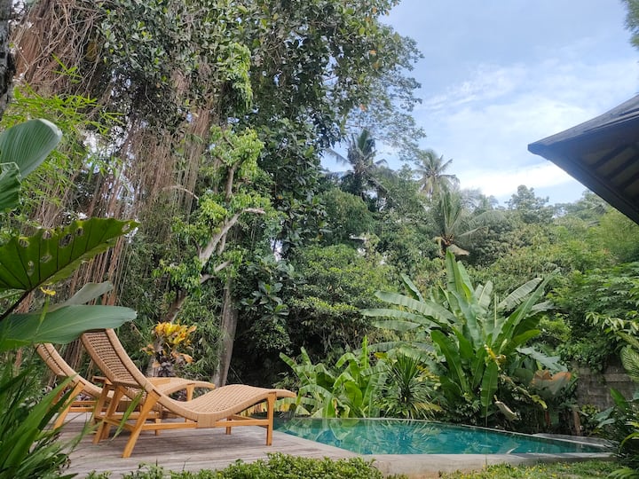 Private Honeymoon Villa With Jungle And River View - Ubud