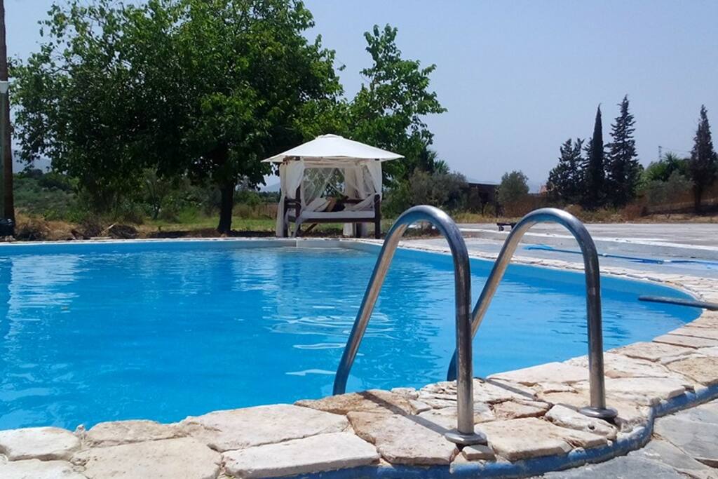 Pool with loungebed