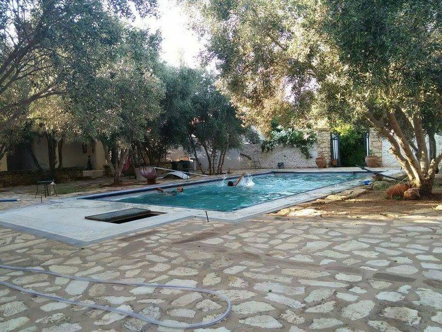 Chill at the swimming pool