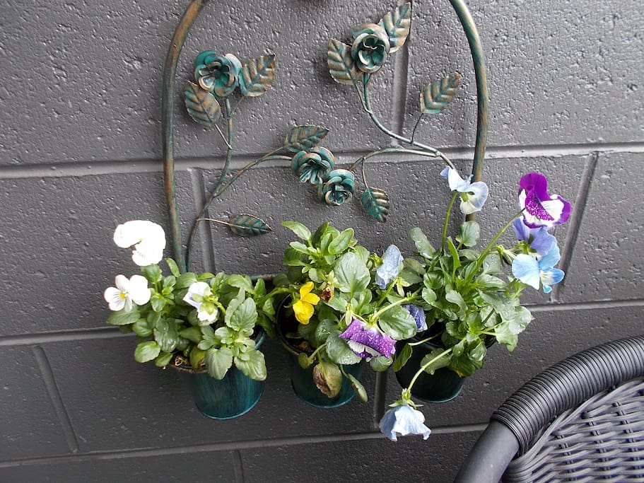 Flower Pots in bloom on Balcony (varies according to season)