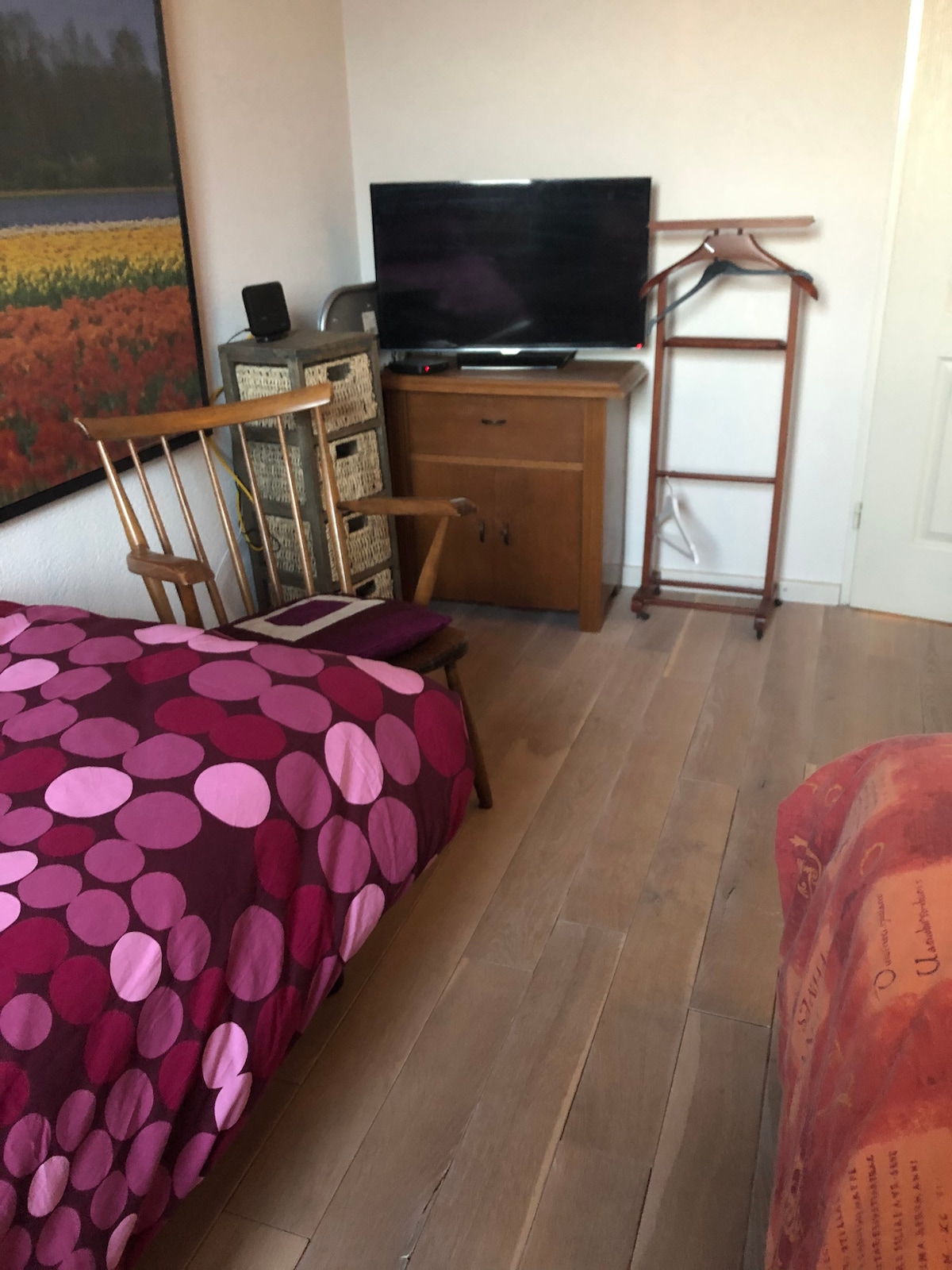A cozy bedroom features a spacious bed covered in vibrant red and pink polka-dotted bedding. A wooden chair is positioned beside a small TV atop a wooden cabinet. A clothing rack stands nearby, and warm wooden flooring complements the inviting space.