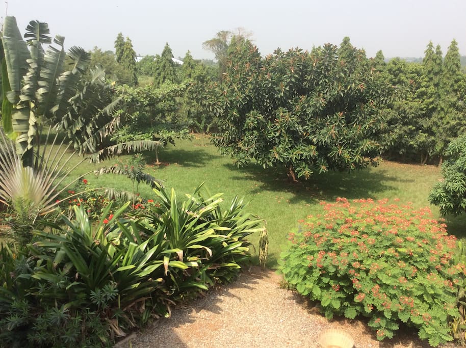 Garden view left