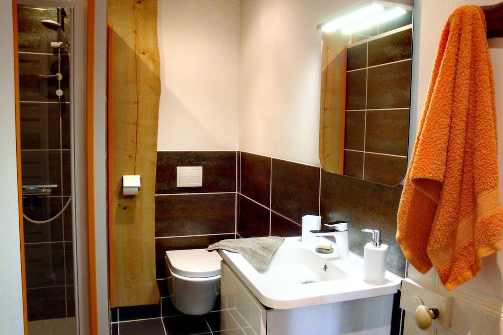 Douche à l'italienne et toilettes privées de la chambre de plain pied