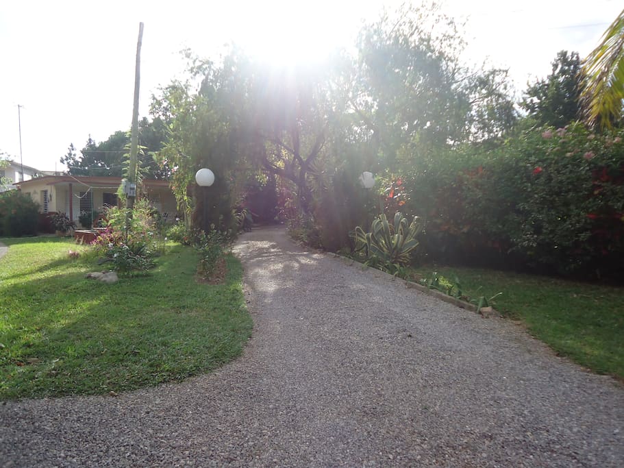 jardin