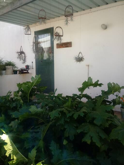 Front entrance into kitchen.
