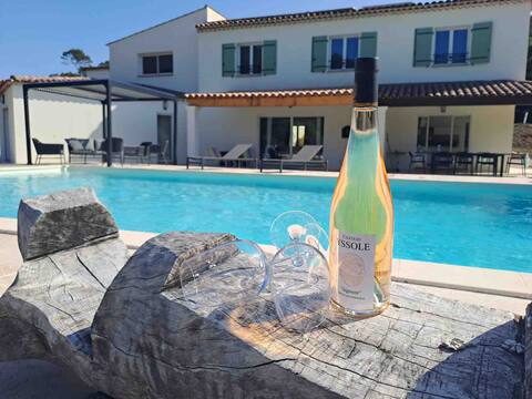 Villa in the heart of the vineyard