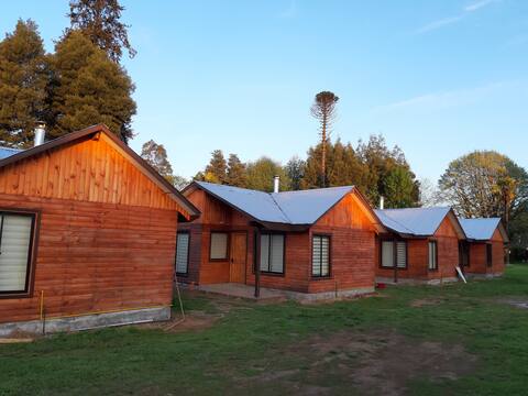 Cabañas Alto Pitrufquen