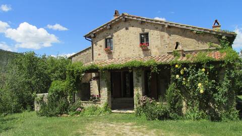 Colombaio del Vivo 2