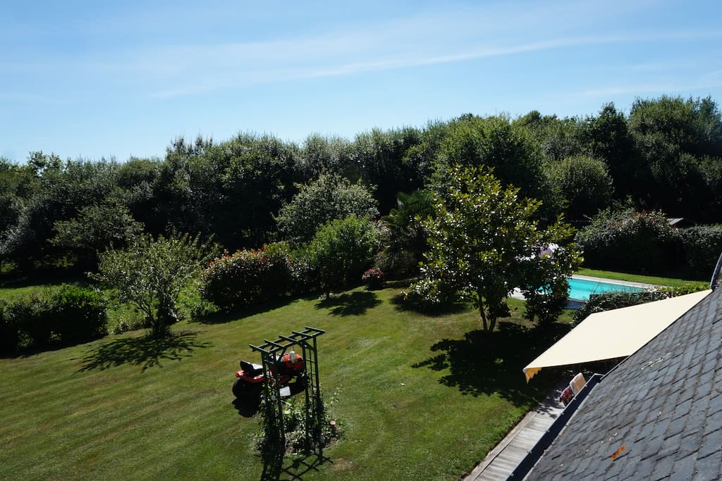 The garden & pool from the balcony