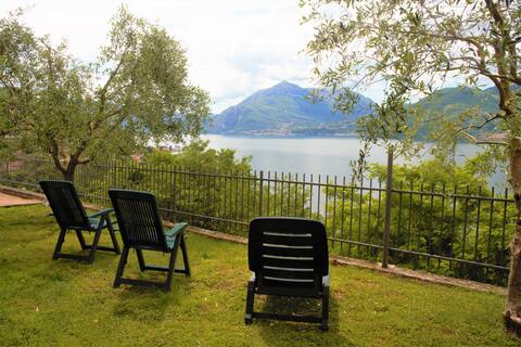 Lake Como- Olive tree apartment-