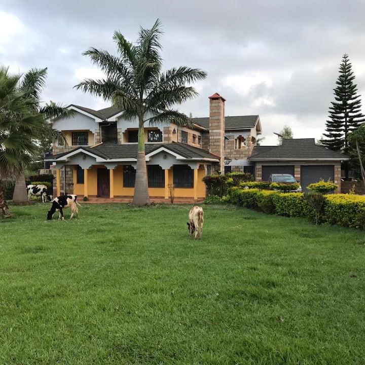 Uniquely Beautiful Farm House Houses for Rent in Ruiri Town, Meru County, Kenya Airbnb Uniquely Beautiful Farm House Houses for Rent in Ruiri Town, Meru County, Kenya Airbnb