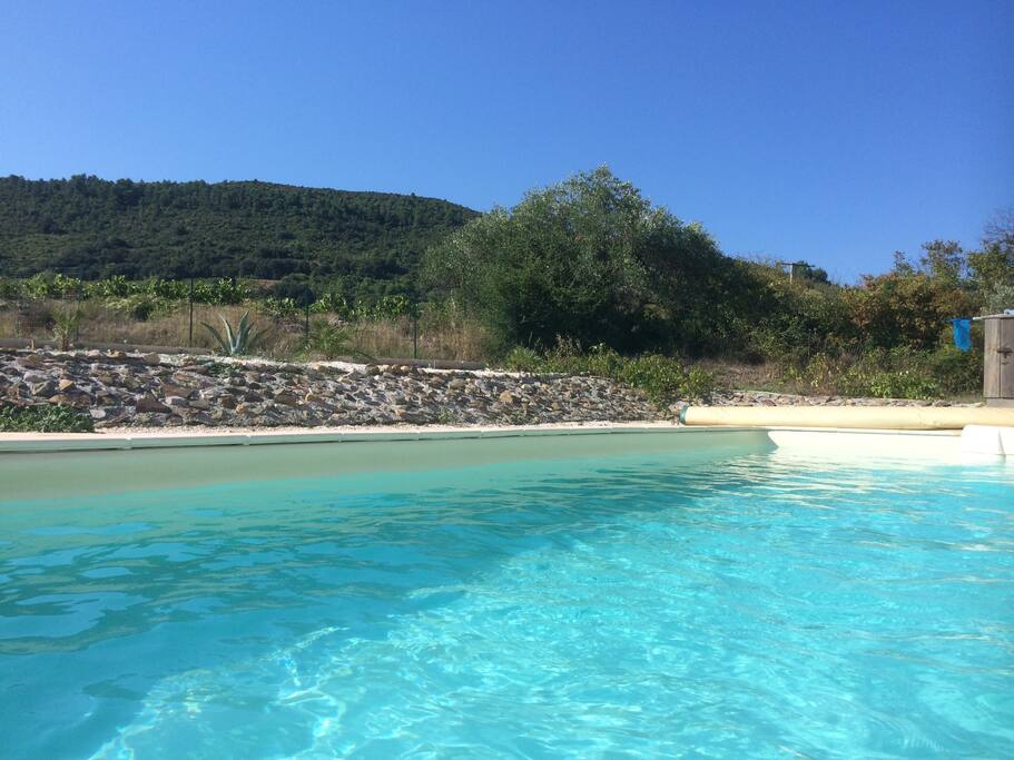 Views as you swim
