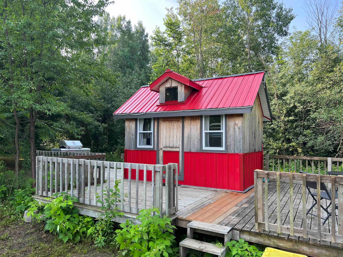 A charming micro cabin with a vibrant red metal roof is surrounded by greenery. It features a wooden deck that wraps around the front, providing access to the outdoors. Tall trees and shrubs can be seen nearby, enhancing the natural setting.