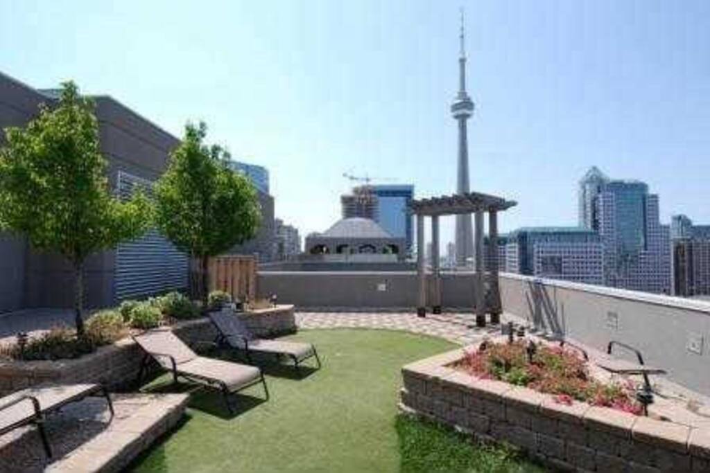 Rooftop View
