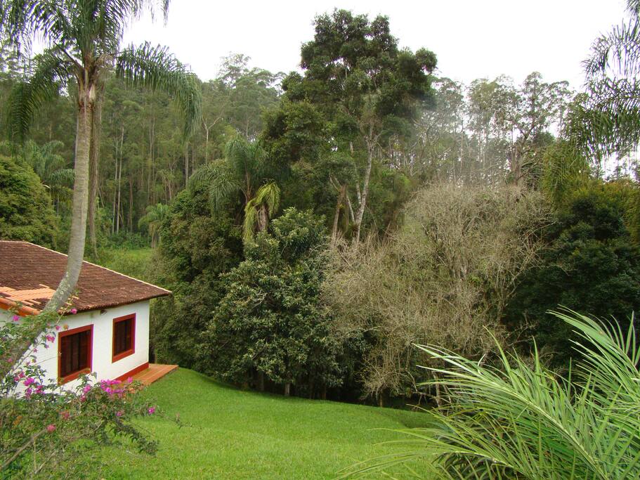 Casa em meio à mata