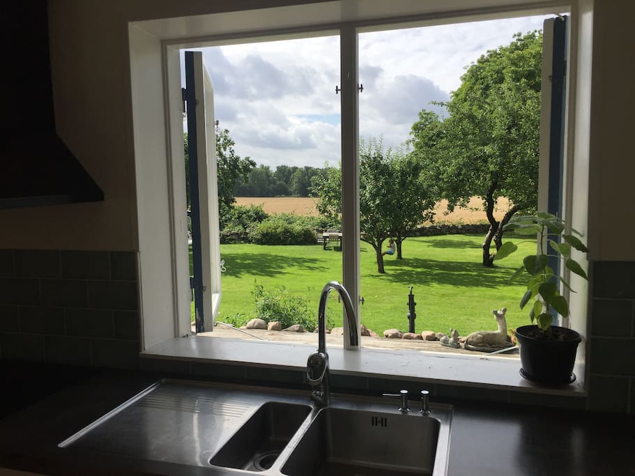 View towards the garden from the kitchen.