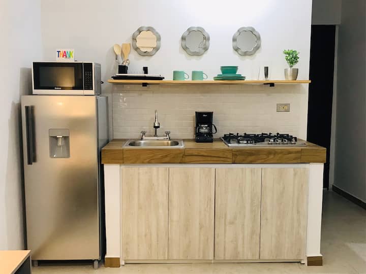 Hermosa Suite 2 Privada En Zona Sur - Monterrey