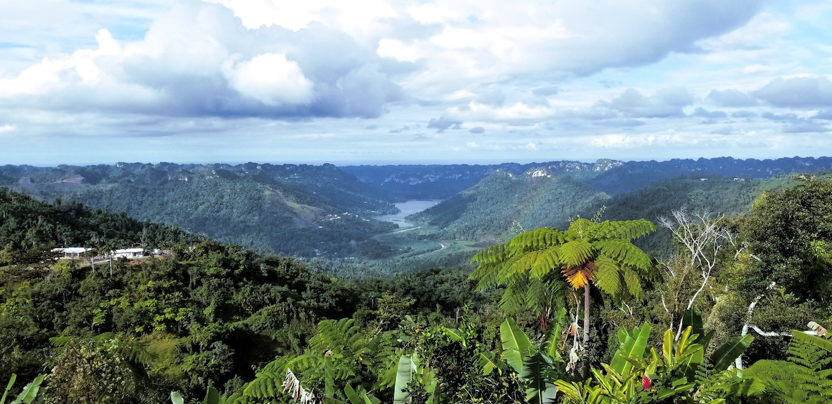 A panoramic view of the Utuado Mountains showcases lush greenery and the expansive Lake Dos Bocas in the distance. Cloud formations drift across a bright sky, enhancing the tranquility of the natural surroundings filled with tropical flora.
