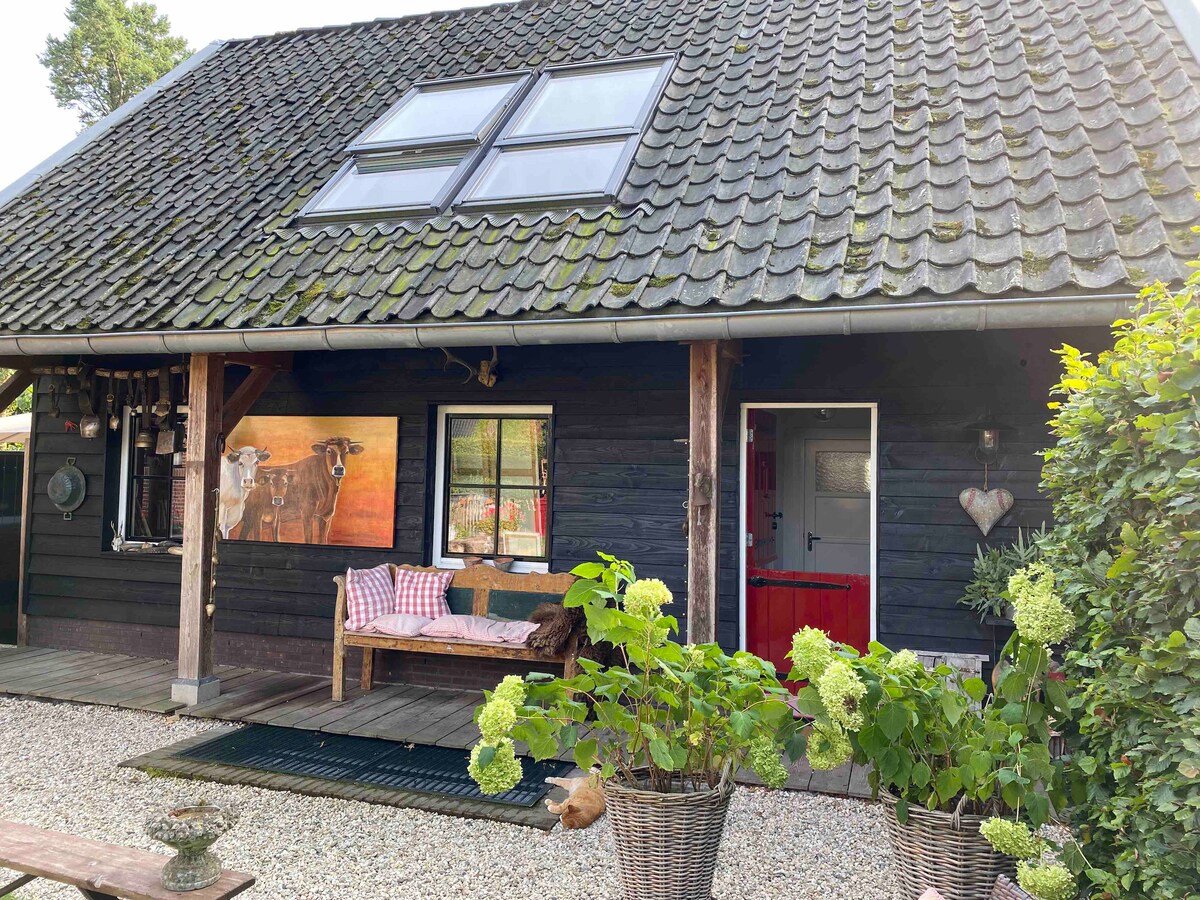 The charming exterior of a black wooden house is showcased, featuring a sloped roof with skylights. A covered porch is highlighted with a seating area and decorative pillows, framed by flowering plants in wicker baskets. A red door adds a pop of color to the inviting entrance.
