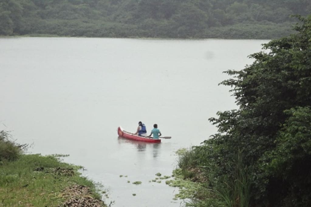 Canoe, kayak, and water-bike through the natural mangroves tunnels and enjoy the gorgeous views and the serenity of life.