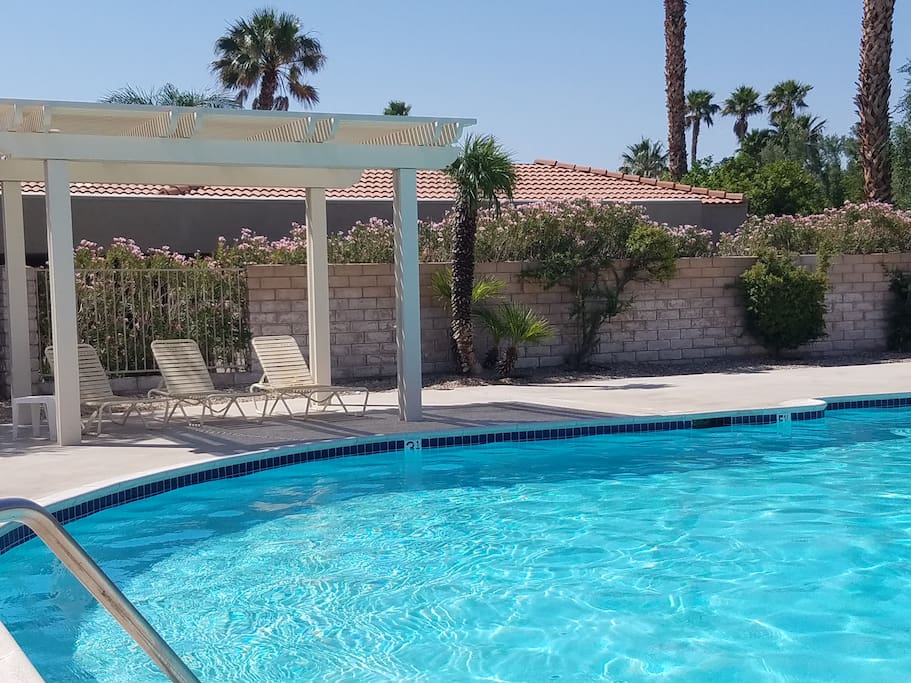 Open Swimg Pool #7
