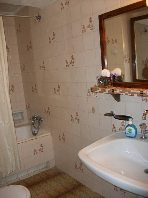 Main Bathroom, all yours