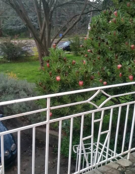front porch to have a cuppa and bird watch (also smoking area)