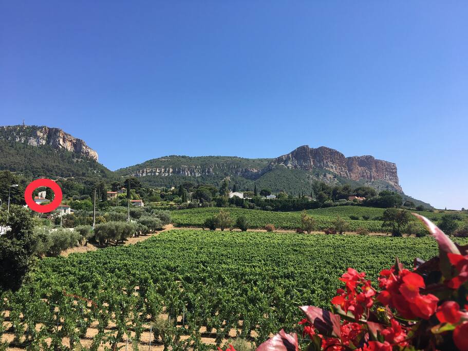 Villa (dans le cercle rouge), et aux alentours de la villa : vignes et Cap Canaille