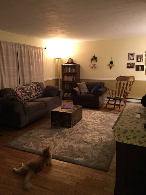 Front door entrance into entry way and living room. I ask that you kick off your shoes at the entry way.